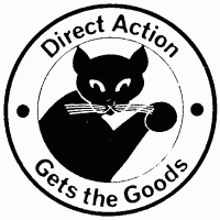 Direct Action: A Beginners Note